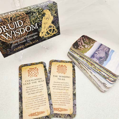 Druid Wisdom Mini Affirmation Cards (musings and inspirations from Druidic landscapes)