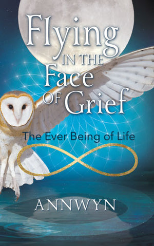 Book cover of 'Flying in the Face of Grief' with an owl and moon illustration.