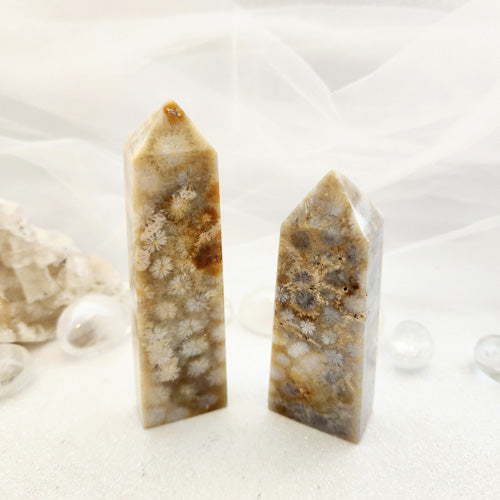 Fossilised Coral Obelisk (assorted. approx. 8.5-10.5x3cm)