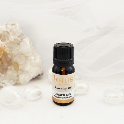 Ginger Zingiber Officinalis Essential Oil (certified 100% pure & natural) 10ml