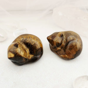 Gold Tiger's Eye Cat