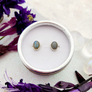 Labradorite Oval Stud Earrings