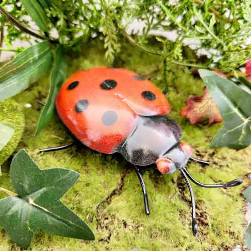 Ladybird Wall Art (approx.  11x9cm)