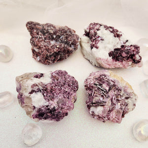 Lepidolite w. Quartz Specimen