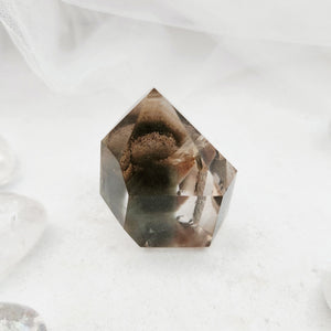 Polished lodolite quartz point with faceted form and earthy inclusions
