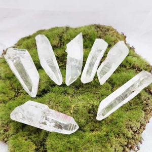 Natural Lemurian Quartz Crystal Point | Inner Guidance | Colombia | Assorted