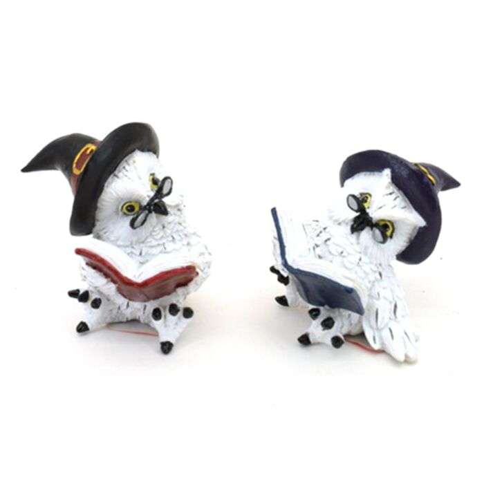 Wise Owl Reading Book (red or blue book. approx. 6x6.5cm)