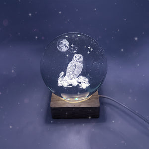 Owl | LED Glass Ball | Night Light