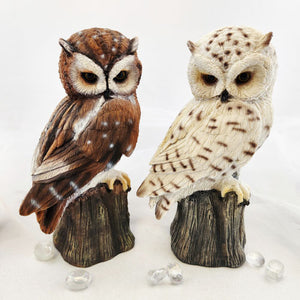 Owl on Large Tree Stump