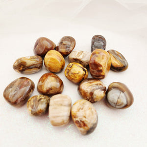 Petrified Wood Tumble