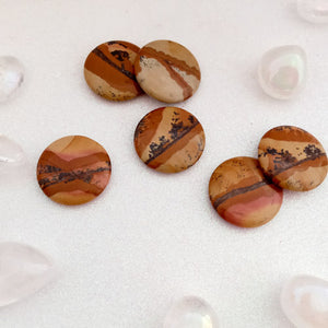 Picture Jasper Disc 
