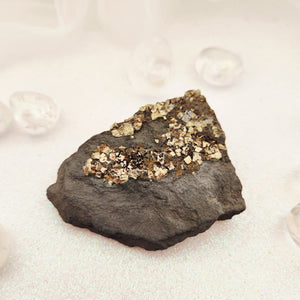 Pyrite on Shungite Specimen
