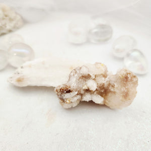 Ram's Horn Selenite Crystal Specimen | Gypsum | Energetic Cleansing | 59g