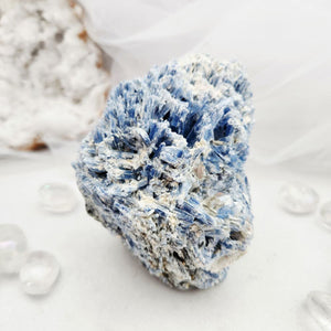 Raw blue kyanite specimen with fanned blades and white matrix