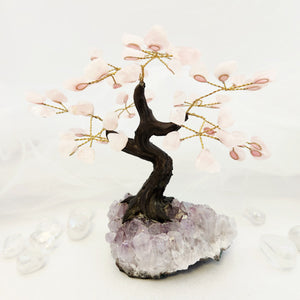 Rose Quartz Crystal Tree on Amethyst Cluster Base