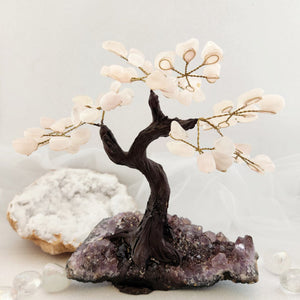 Rose Quartz Tree on Amethyst Cluster Base