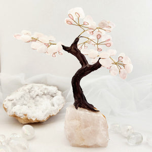 Rose Quartz Tree on Rose Quartz Base