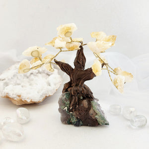 Rough Citrine Tree on Amethyst Cluster