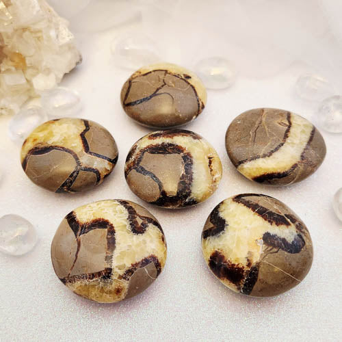 Septarian Palm Stone (assorted. approx. 4.8-5x4.8cm)