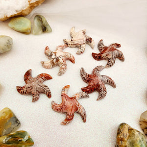 Soapstone Starfish