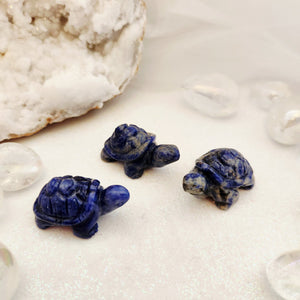 Sodalite Turtle