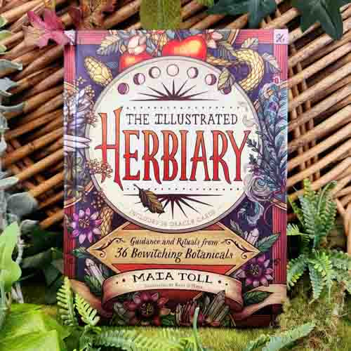 The Illustrated Herbiary (guidance and rituals from 36 bewitching botanicals. incl. 36 oracle cards)