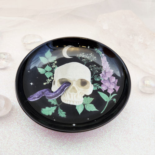 Venom & Vines Skull w. Snake Trinket Dish (approx. 10.5cm diameter)