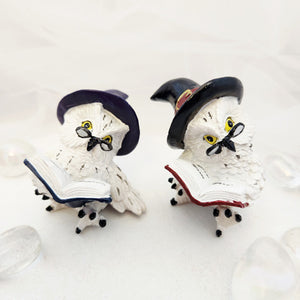 Wise Owl Reading Book