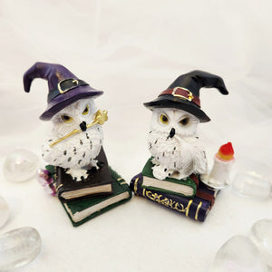 Wise Owl on Spell Books