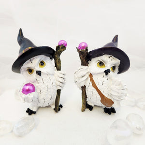 Wise White Oil w. Staff