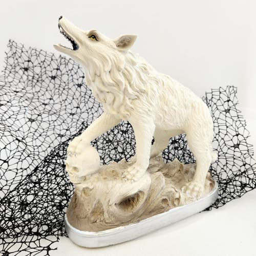 Wolf on Skull (approx. 25cm)