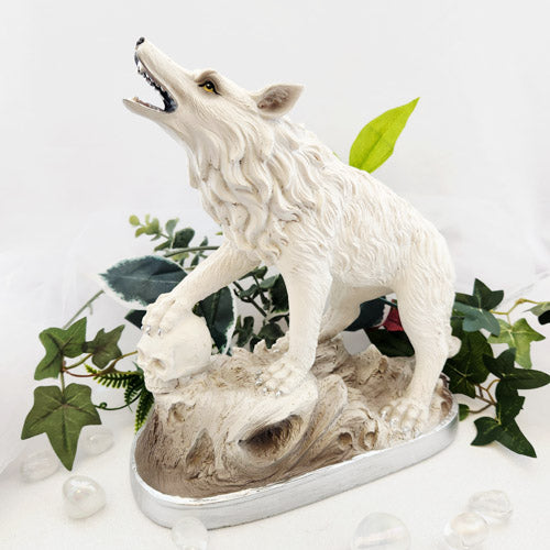 Wolf on Skull (approx. 25cm)
