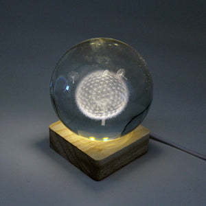 Dandelion Crystal Ball with USB Light