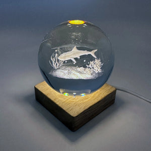 Shark Glass Ball w. Wooden LED Base