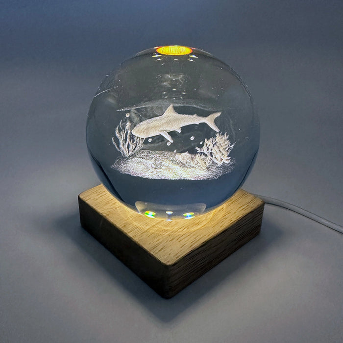Shark Glass Ball w. Wooden LED Base