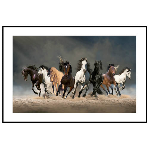 Horses In Glass Frame Print (approx 60x40cm)
