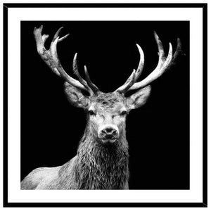 Stag Framed Wall Art (approx. 50x50cm)