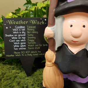 Weather Forecasting Witch or Wizard (assorted approx. 14x6x5cm)