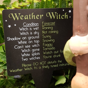 Weather Forecasting Witch or Wizard (assorted approx. 14x6x5cm)