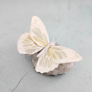 Cream Butterfly with Wire Stem