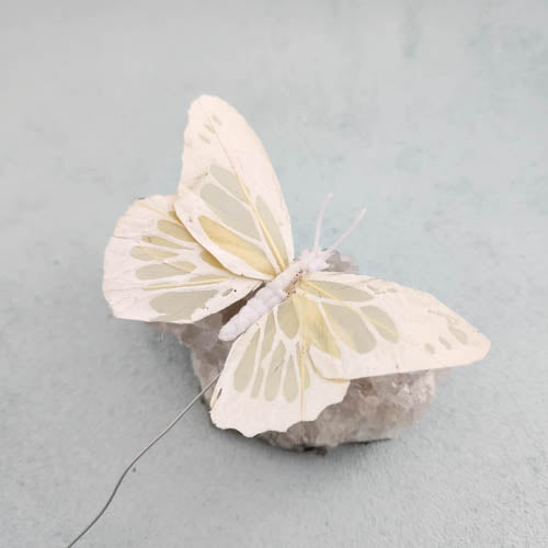 Cream Butterfly with Wire Stem (approx. 5x9.5cm not incl. wire stem)