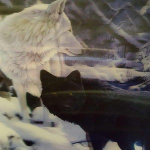 4D Black & White Wolves (approx. 29x39cm)