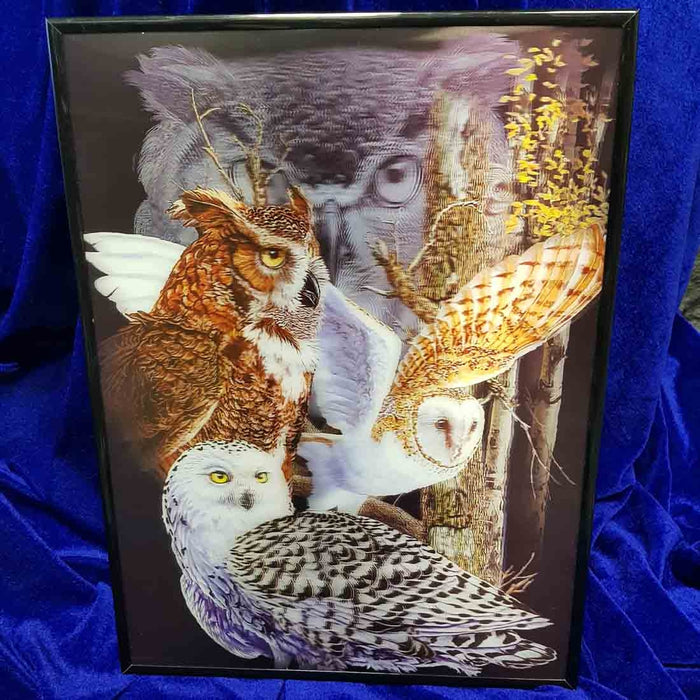 4D Brown Owls Picture (29x39cm)