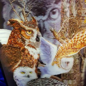 4D Brown Owls Picture (29x39cm)