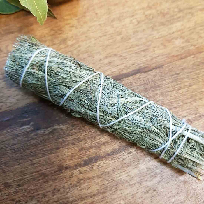 Sagebrush Cleansing & Blessing Stick/Bundle (approx. 12x3cm)