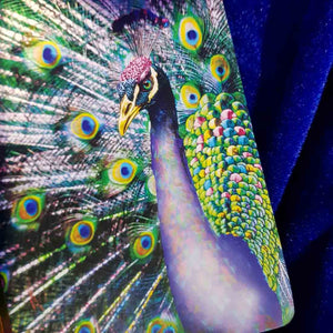 Vivid Peacock Notebook A