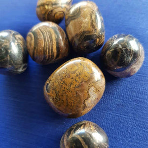 Stromatolite Tumble (assorted)