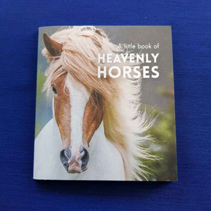 A Little Book of Heavenly Horses