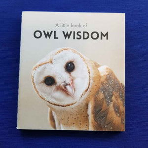 A Little Book of Owl Wisdom