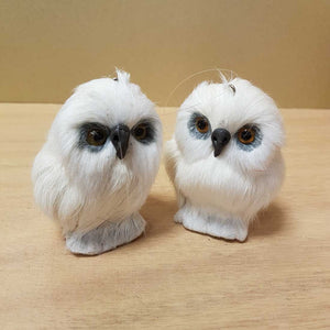 Snowy Owl (hangs or stands)